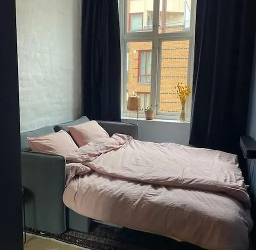 Attraktiv Og Klassisk Midt I Oslo, 80m2 Appartement Oslo