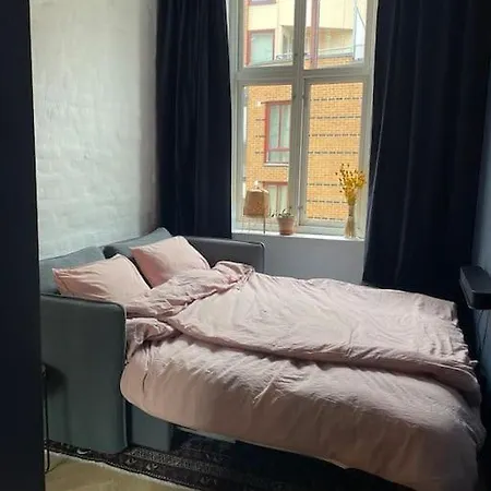Attraktiv Og Klassisk Midt I Oslo, 80m2 Apartment Oslo