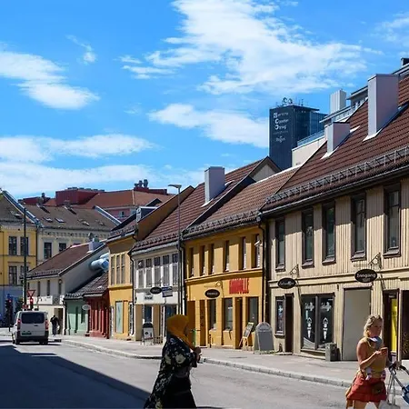 Attraktiv Og Klassisk Midt I Oslo, 80m2 Oslo